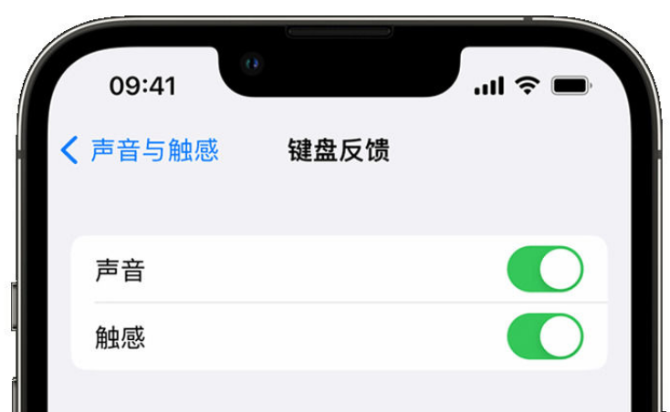 新城苹果手机维修分享iPhone 14触感键盘使用方法 