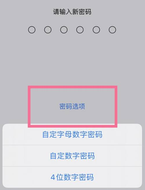 新城苹果14维修分享iPhone 14plus设置密码的方法 