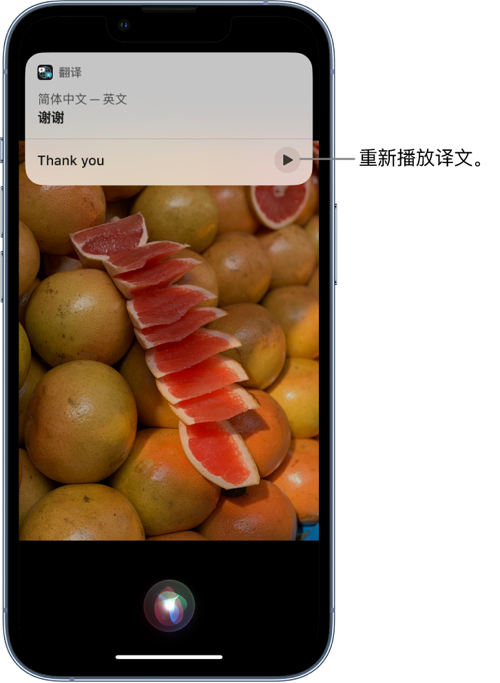 新城苹果14维修分享 iPhone 14 机型中使用 Siri：了解 Siri 能帮你做什么 