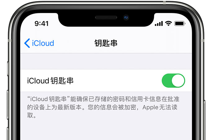 新城苹果手机维修分享在 iPhone 上开启 iCloud 钥匙串之后会储存哪些信息 